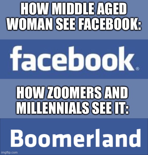 Facebook sucks no matter your opinion | HOW MIDDLE AGED WOMAN SEE FACEBOOK:; HOW ZOOMERS AND MILLENNIALS SEE IT: | image tagged in facebook,memes,funny,sbubby,dumb | made w/ Imgflip meme maker