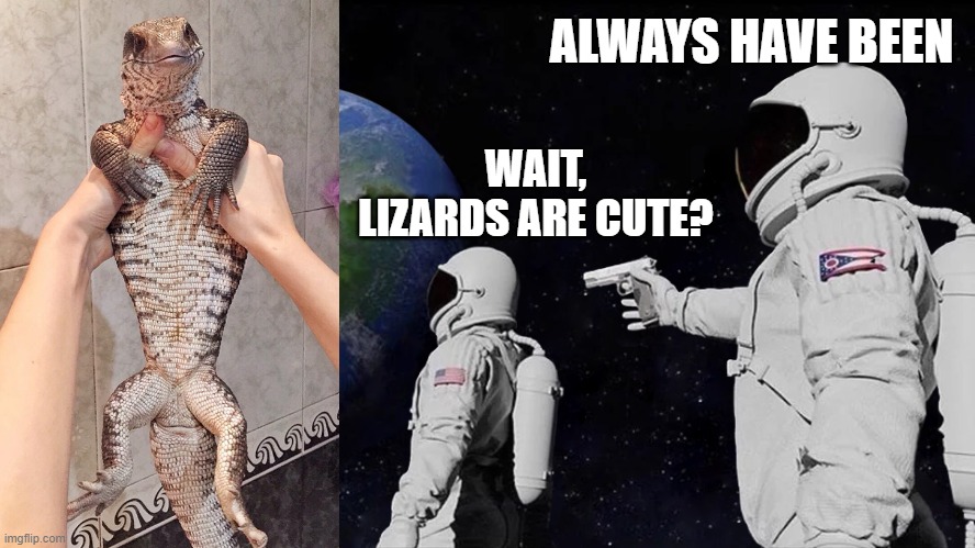 Always have been meme |  ALWAYS HAVE BEEN; WAIT, LIZARDS ARE CUTE? | image tagged in always has been,memes,animals,animal meme,cute,lizard | made w/ Imgflip meme maker