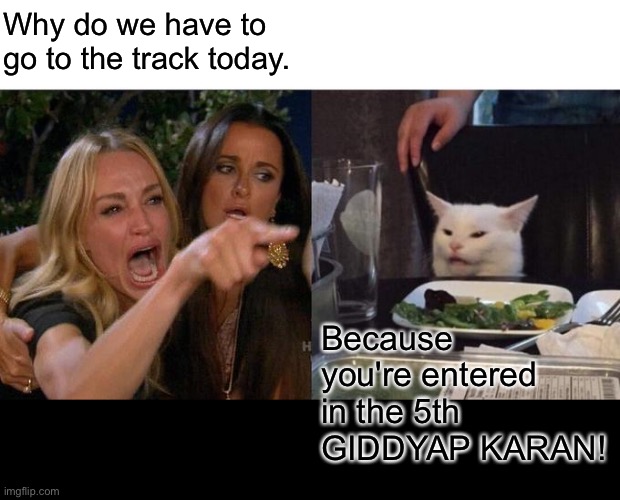 Woman yelling at cat | Why do we have to go to the track today. Because you're entered in the 5th GIDDYAP KARAN! | image tagged in memes,woman yelling at cat | made w/ Imgflip meme maker