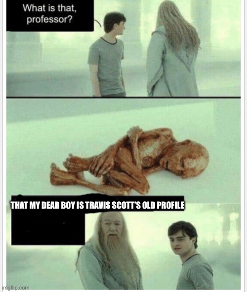 Let It Rest | THAT MY DEAR BOY IS TRAVIS SCOTT’S OLD PROFILE | image tagged in let it rest | made w/ Imgflip meme maker