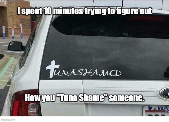 Tuna Shamed | I spent 10 minutes trying to figure out; How you "Tuna Shame" someone. | image tagged in tuna,shame | made w/ Imgflip meme maker
