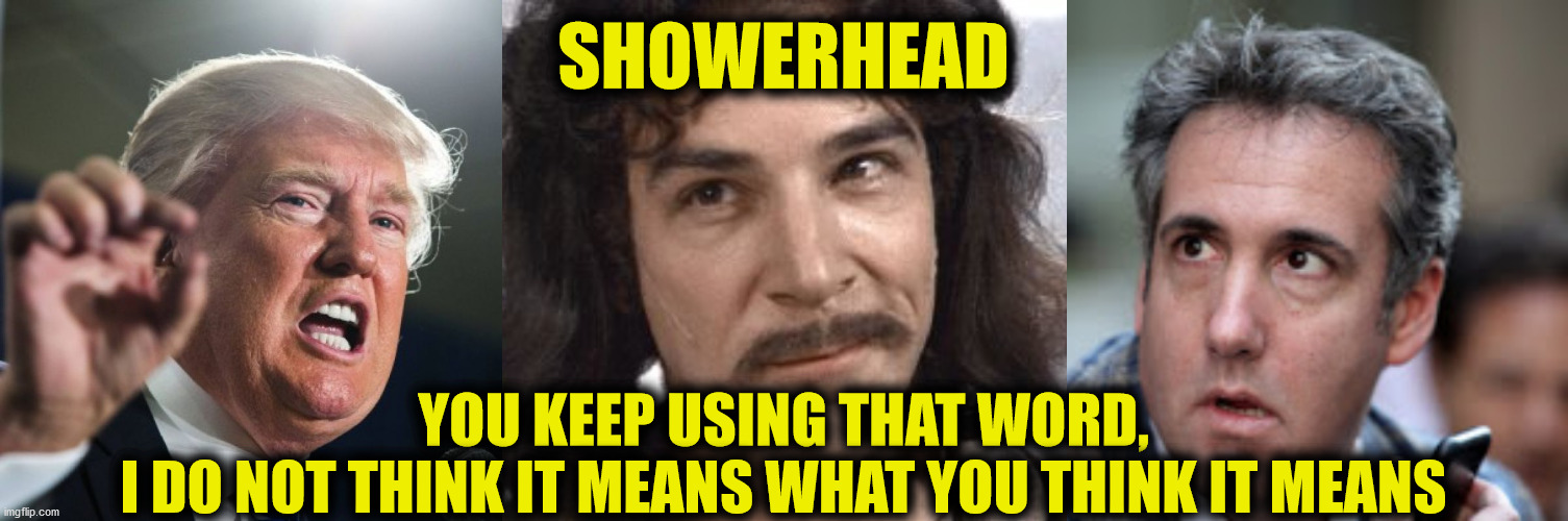 Not so Fast, Golden Boy | SHOWERHEAD; YOU KEEP USING THAT WORD,
I DO NOT THINK IT MEANS WHAT YOU THINK IT MEANS | image tagged in showerhead,trump,cohen,las vegas,golden,memes | made w/ Imgflip meme maker