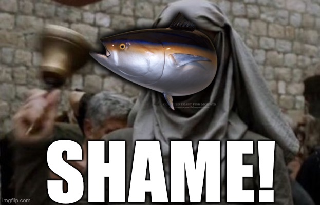 SHAME bell - Game of Thrones | SHAME! | image tagged in shame bell - game of thrones | made w/ Imgflip meme maker