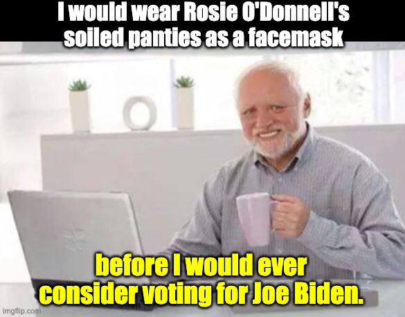Zero chance! | I would wear Rosie O'Donnell's soiled panties as a facemask; before I would ever consider voting for Joe Biden. | image tagged in harold | made w/ Imgflip meme maker