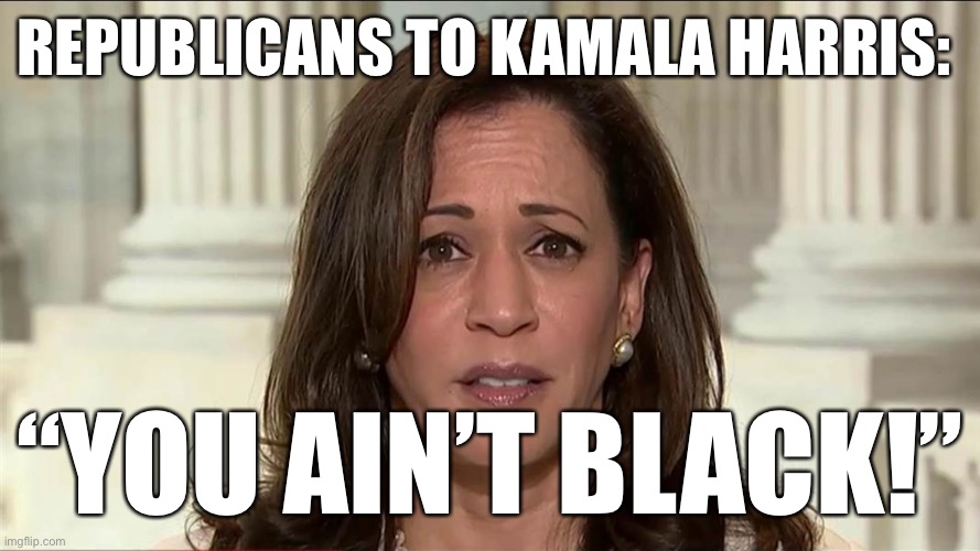 There are lots of reasons to criticize Kamala Harris, but not being black is not one of them. | REPUBLICANS TO KAMALA HARRIS:; “YOU AIN’T BLACK!” | image tagged in kamala harris | made w/ Imgflip meme maker