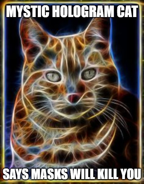 Mystics | MYSTIC HOLOGRAM CAT; SAYS MASKS WILL KILL YOU | image tagged in cats,mystic,fun,funny,memes,2020 | made w/ Imgflip meme maker