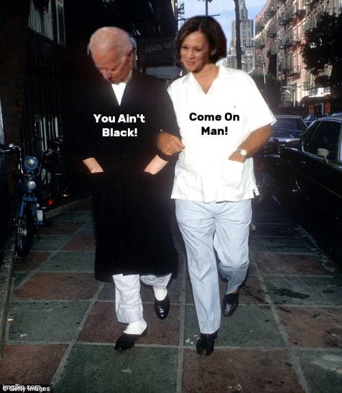Joe Biden | image tagged in you ain't black | made w/ Imgflip meme maker