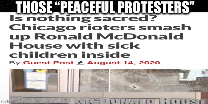 Black Lives Matter | THOSE “PEACEFUL PROTESTERS” | image tagged in black lives matter,antifa,democrats,democratic party,joe biden,kamala harris | made w/ Imgflip meme maker