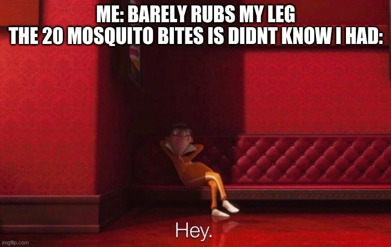 Vector | ME: BARELY RUBS MY LEG
THE 20 MOSQUITO BITES IS DIDNT KNOW I HAD: | image tagged in vector | made w/ Imgflip meme maker