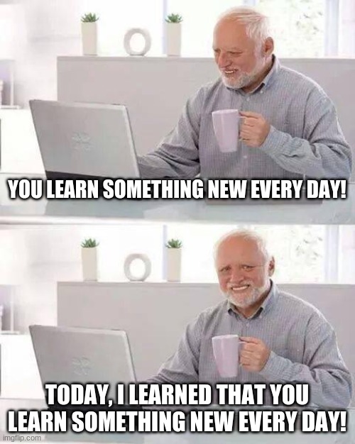 You learn something new every day |  YOU LEARN SOMETHING NEW EVERY DAY! TODAY, I LEARNED THAT YOU LEARN SOMETHING NEW EVERY DAY! | image tagged in memes,hide the pain harold,you learn something new every day,funny,today | made w/ Imgflip meme maker
