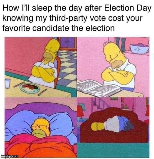 gah: don't get me wrong, I voted libertarian in '12 and '16, but I just don't get how folks could go 3rd party this time around | image tagged in election 2020,repost,politics lol,2020 elections,third party,third party candidates | made w/ Imgflip meme maker