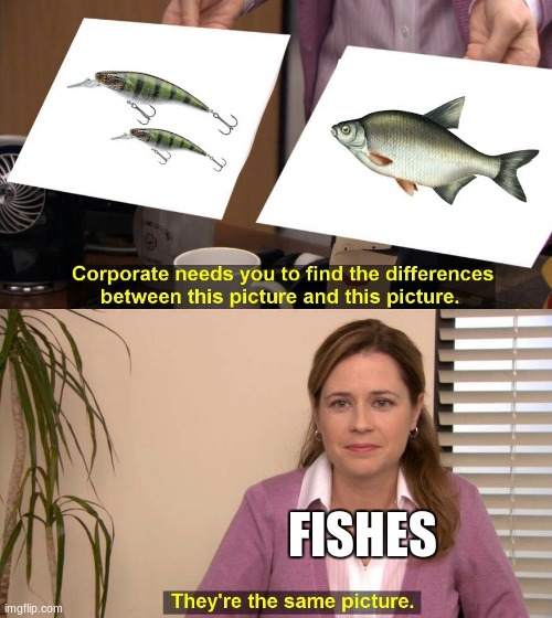 Fish | FISHES | image tagged in they are the same picture | made w/ Imgflip meme maker