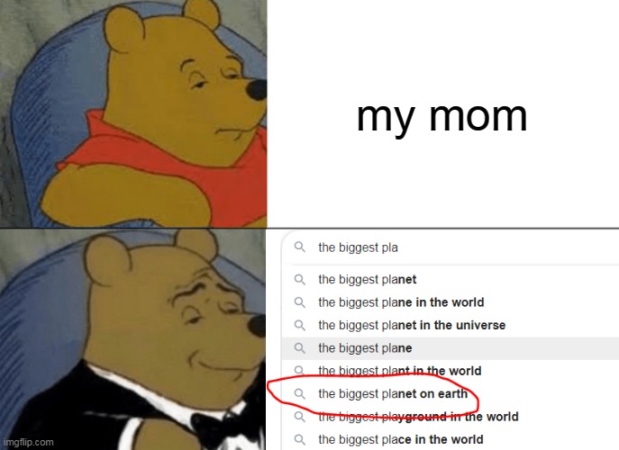 lol | my mom | image tagged in tuxedo winnie the pooh,memes | made w/ Imgflip meme maker