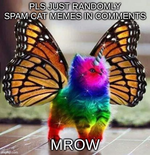 mrow | PLS JUST RANDOMLY SPAM CAT MEMES IN COMMENTS; MROW | image tagged in rainbow unicorn butterfly kitten | made w/ Imgflip meme maker