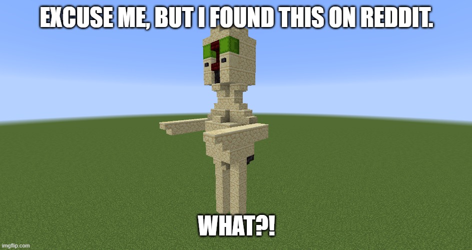 EXCUSE ME, BUT I FOUND THIS ON REDDIT. WHAT?! | made w/ Imgflip meme maker
