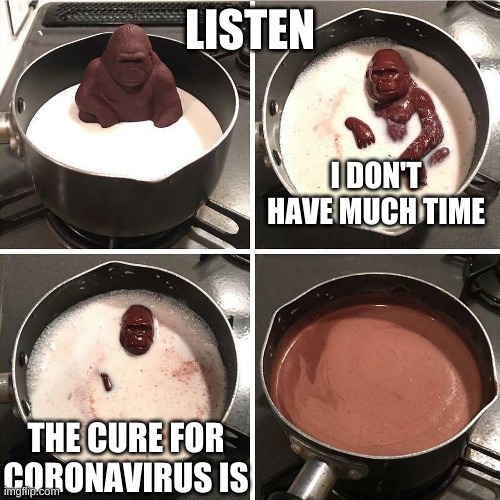 chocolate gorilla | LISTEN; I DON'T HAVE MUCH TIME; THE CURE FOR CORONAVIRUS IS | image tagged in chocolate gorilla | made w/ Imgflip meme maker