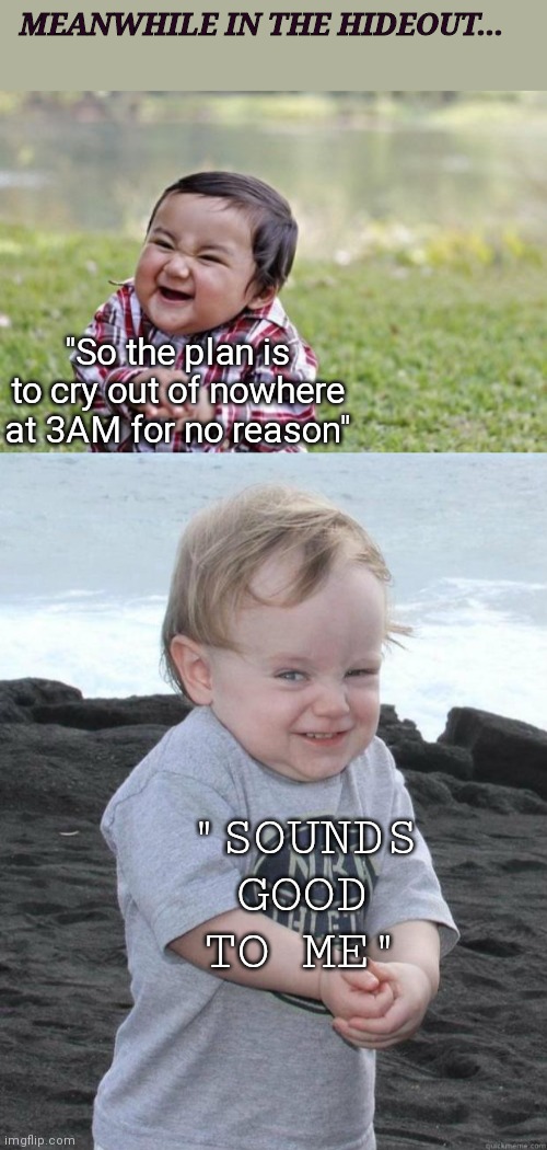 MEANWHILE IN THE HIDEOUT... "So the plan is to cry out of nowhere at 3AM for no reason"; "SOUNDS GOOD TO ME" | image tagged in memes,evil toddler,funny-evil-baby | made w/ Imgflip meme maker
