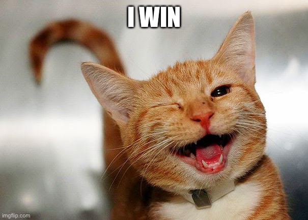 Cat Wink | I WIN | image tagged in cat wink | made w/ Imgflip meme maker