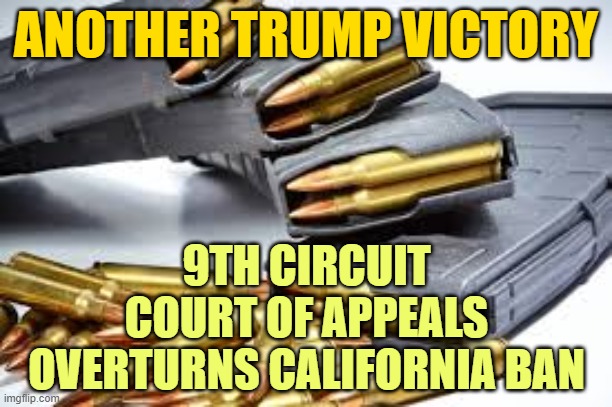 This is what FREEDOM looks like. | ANOTHER TRUMP VICTORY; 9TH CIRCUIT COURT OF APPEALS OVERTURNS CALIFORNIA BAN | image tagged in magazine,trump,nra | made w/ Imgflip meme maker