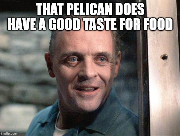 Hannibal Lecter | THAT PELICAN DOES HAVE A GOOD TASTE FOR FOOD | image tagged in hannibal lecter | made w/ Imgflip meme maker