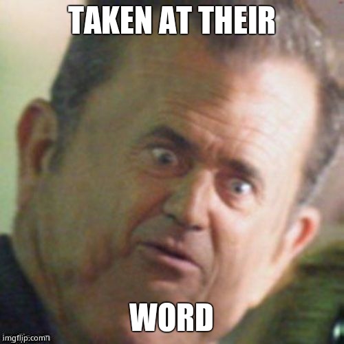 Mel Gibson stunned | TAKEN AT THEIR WORD | image tagged in mel gibson stunned | made w/ Imgflip meme maker