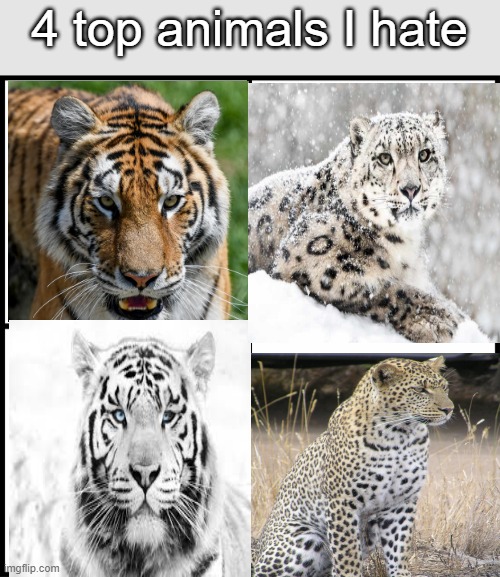 Animals Ill always hate forever | 4 top animals I hate | image tagged in blank drake format | made w/ Imgflip meme maker