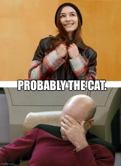 PROBABLY THE CAT. | image tagged in memes,captain picard facepalm | made w/ Imgflip meme maker