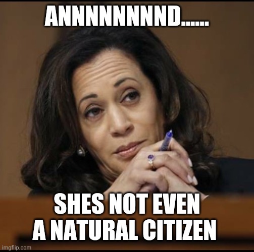 Politics and stuff | ANNNNNNNND...... SHES NOT EVEN A NATURAL CITIZEN | image tagged in kamala harris | made w/ Imgflip meme maker