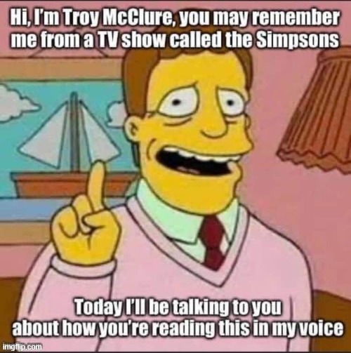 image tagged in troy mcclure,simpsons,memes,funny memes | made w/ Imgflip meme maker