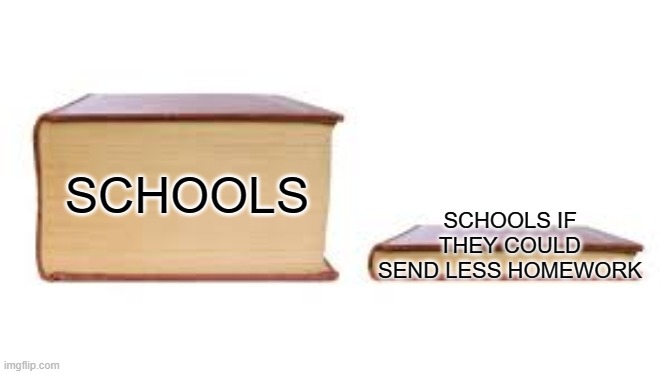 This is how mafia works | SCHOOLS IF THEY COULD SEND LESS HOMEWORK; SCHOOLS | image tagged in big book small book,school | made w/ Imgflip meme maker