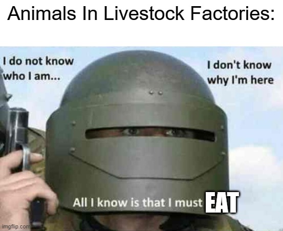 i do not know who I am | Animals In Livestock Factories:; EAT | image tagged in i do not know who i am | made w/ Imgflip meme maker