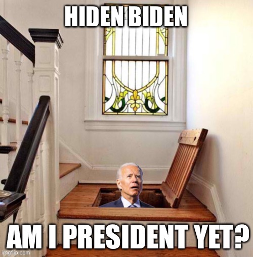 Hiden Biden | HIDEN BIDEN | image tagged in joe biden,hiden biden | made w/ Imgflip meme maker