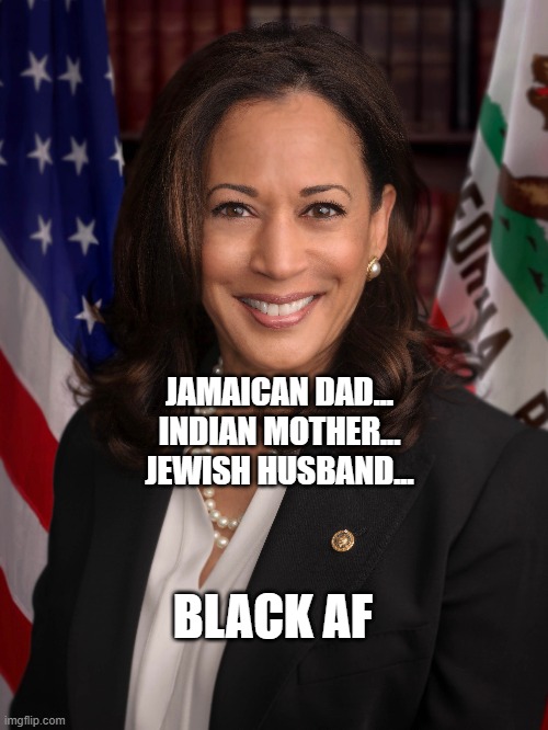 kamala harris black af | JAMAICAN DAD...
INDIAN MOTHER...
JEWISH HUSBAND... BLACK AF | image tagged in kamala harris,election 2020 | made w/ Imgflip meme maker