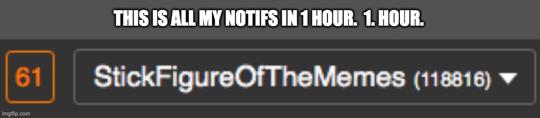 too many | THIS IS ALL MY NOTIFS IN 1 HOUR.  1. HOUR. | image tagged in notifications | made w/ Imgflip meme maker