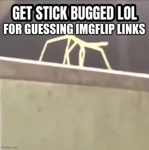 ha got ya | FOR GUESSING IMGFLIP LINKS | image tagged in get stick bugged lol | made w/ Imgflip meme maker