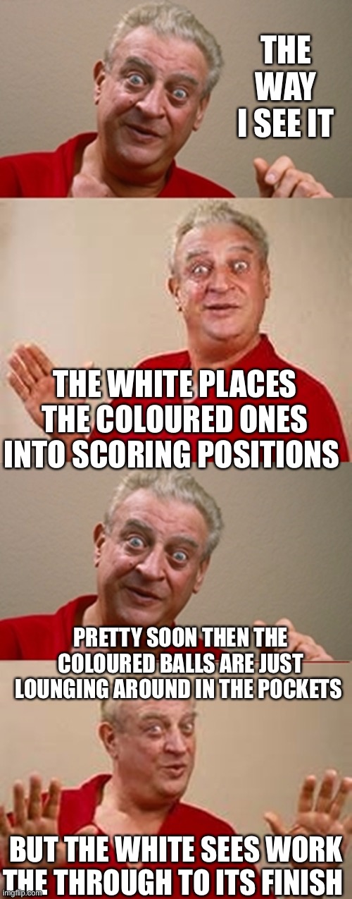 Bad Pun Rodney Dangerfield | THE WAY I SEE IT PRETTY SOON THEN THE COLOURED BALLS ARE JUST LOUNGING AROUND IN THE POCKETS BUT THE WHITE SEES WORK THE THROUGH TO ITS FINI | image tagged in bad pun rodney dangerfield | made w/ Imgflip meme maker
