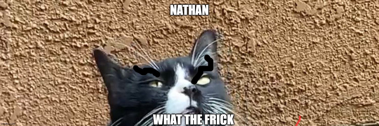  NATHAN; WHAT THE FRICK | made w/ Imgflip meme maker