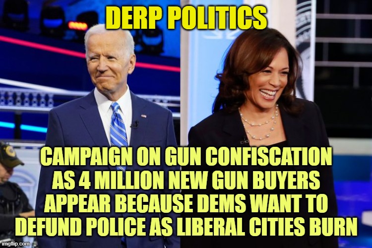 Let's not mention the mass exodus out of blue cities to red states. | DERP POLITICS; CAMPAIGN ON GUN CONFISCATION AS 4 MILLION NEW GUN BUYERS APPEAR BECAUSE DEMS WANT TO DEFUND POLICE AS LIBERAL CITIES BURN | image tagged in kamala harris,joe biden | made w/ Imgflip meme maker