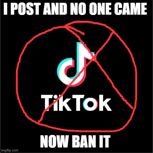 tiktok logo | I POST AND NO ONE CAME; NOW BAN IT | image tagged in tiktok logo | made w/ Imgflip meme maker