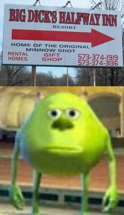 Remind me to not book a room at that resort... | image tagged in sully wazowski,puns | made w/ Imgflip meme maker