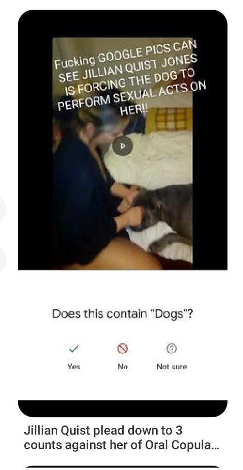 Jillian Quist Jones Sexually Molesting Dog. Forcing his Head Blank Meme Template