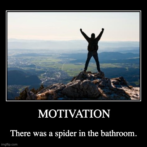 MOTIVATION: There Was a Spider In The Bathroom | image tagged in funny,demotivationals | made w/ Imgflip demotivational maker
