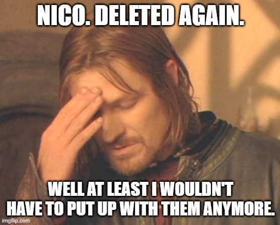 Frustrated Boromir | NICO. DELETED AGAIN. WELL AT LEAST I WOULDN'T HAVE TO PUT UP WITH THEM ANYMORE. | image tagged in memes,frustrated boromir | made w/ Imgflip meme maker
