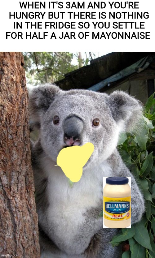 Surprised Koala Meme | WHEN IT'S 3AM AND YOU'RE HUNGRY BUT THERE IS NOTHING IN THE FRIDGE SO YOU SETTLE FOR HALF A JAR OF MAYONNAISE | image tagged in memes,surprised koala,food,funny | made w/ Imgflip meme maker