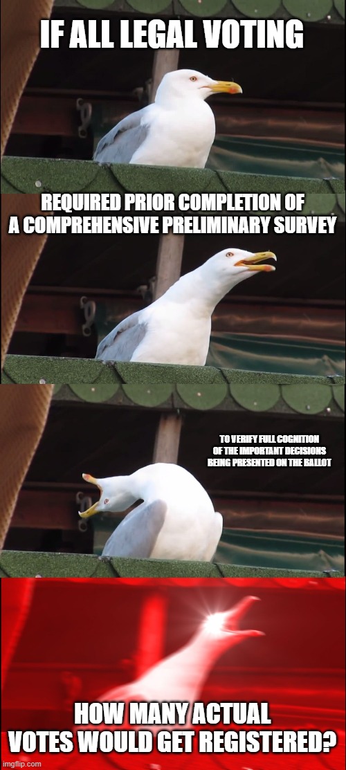 I'm guessing none | IF ALL LEGAL VOTING; REQUIRED PRIOR COMPLETION OF A COMPREHENSIVE PRELIMINARY SURVEY; TO VERIFY FULL COGNITION OF THE IMPORTANT DECISIONS BEING PRESENTED ON THE BALLOT; HOW MANY ACTUAL VOTES WOULD GET REGISTERED? | image tagged in memes,inhaling seagull,i'm guessing none | made w/ Imgflip meme maker