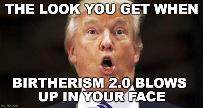 Donald trump surprised | THE LOOK YOU GET WHEN; BIRTHERISM 2.0 BLOWS 
UP IN YOUR FACE | image tagged in donald trump,birtherism | made w/ Imgflip meme maker