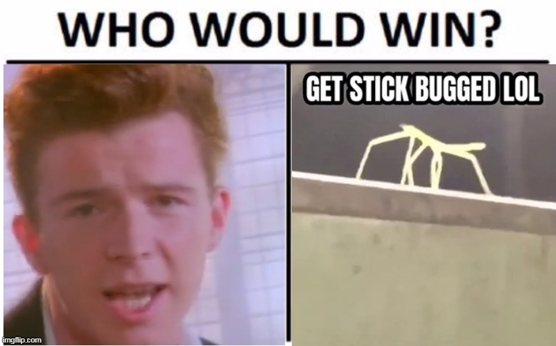 we have a new gen-z version | image tagged in who would win,rickroll,memes | made w/ Imgflip meme maker