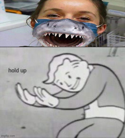 weird mask... XD | image tagged in fallout hold up,memes,funny,stupid,masks,sharks | made w/ Imgflip meme maker