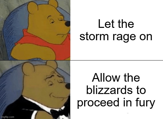 Tuxedo Winnie The Pooh Meme | Let the storm rage on Allow the blizzards to proceed in fury | image tagged in memes,tuxedo winnie the pooh | made w/ Imgflip meme maker