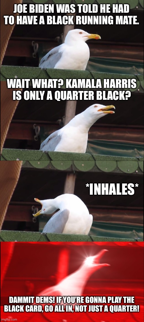 Even a seagull can see Kamala ain’t Black | JOE BIDEN WAS TOLD HE HAD TO HAVE A BLACK RUNNING MATE. WAIT WHAT? KAMALA HARRIS IS ONLY A QUARTER BLACK? *INHALES*; DAMMIT DEMS! IF YOU’RE GONNA PLAY THE BLACK CARD, GO ALL IN, NOT JUST A QUARTER! | image tagged in memes,inhaling seagull,kamala harris,black,joe biden,indian | made w/ Imgflip meme maker